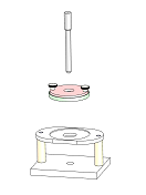 perforación en la membrana de plasma
